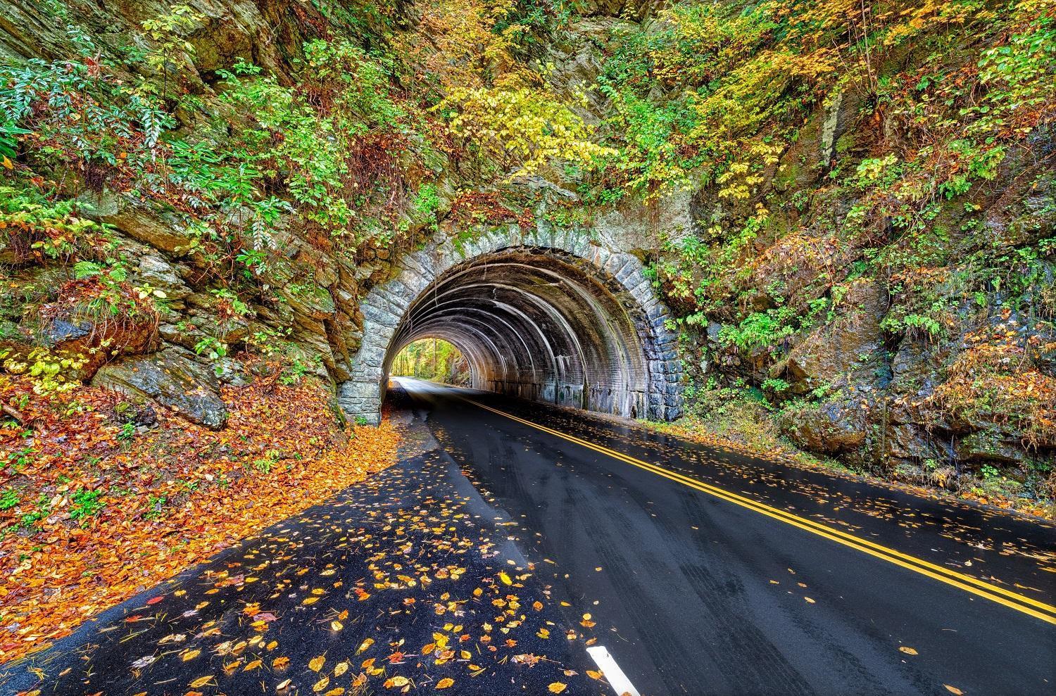 Hemlock Hollow, Pool Access, 1089 Free Tickets Each Paid Day, Dollywood And More سيفيرفيل المظهر الخارجي الصورة